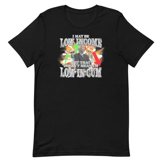 I May Be Low Income Shirt - Funny Shirt - Humorous Tee, Perfect for Meme Lovers and Quirky Gift Ideas comfort  color  shirts