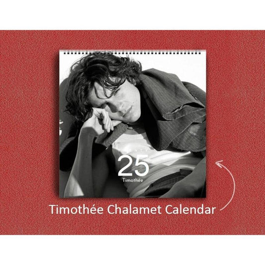Timothée Chalamet Calendar 2025 | Timothée Chalamet 2025 Wall Calendar, Celebrity Wall Calendar 2025, Best Gift For Timothée Chalamet Fan