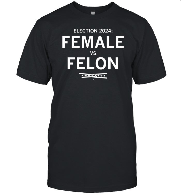 Raygunsite Election 2024 Female Vs Felon Tee