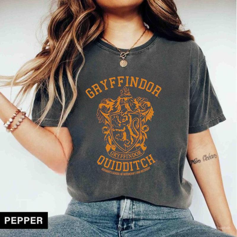 Vintage Gryffindor Quidditch T-shirt, Hogwarts Houses Tshirt, HP Wizard World Tee, Wizard School Shirt, Potterhead T-shirt Gift, Wizarding World Shirt