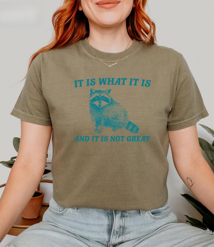 It Is What It Is And It Is Not Great Shirt, Vintage Raccoon shirt, Raccoon Mental Health Tee, Unisex T-shirt, Gift for Him, Gift for Her, Crew Neck, T