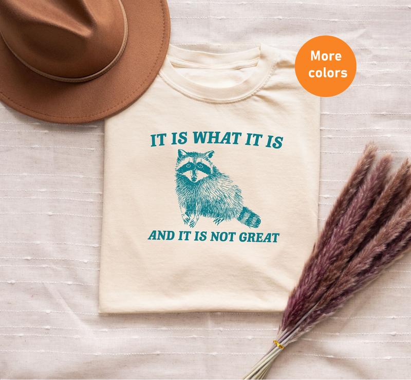 It Is What It Is And It Is Not Great Shirt, Vintage Raccoon shirt, Raccoon Mental Health Tee, Unisex T-shirt, Gift for Him, Gift for Her, Crew Neck, T
