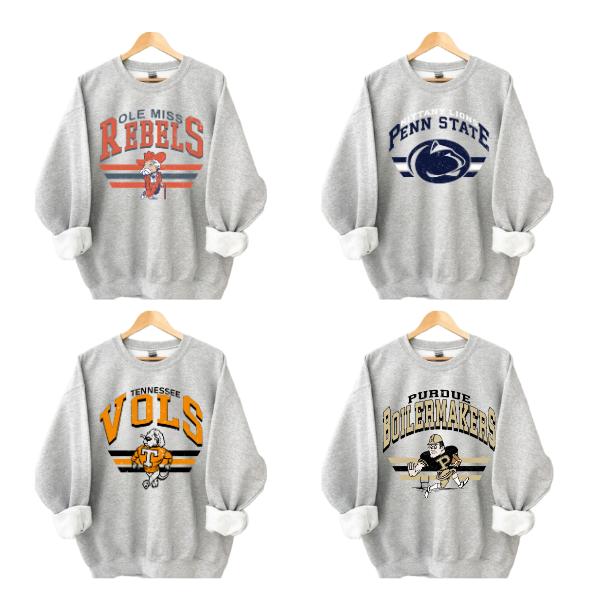 Vintage College Football Mascot Crewneck Sweatshirt, Vintage Sweatshirt All Teams NCAA, Classic Sport Sweatshirt, Gifts For Sport, Color Sport Grey