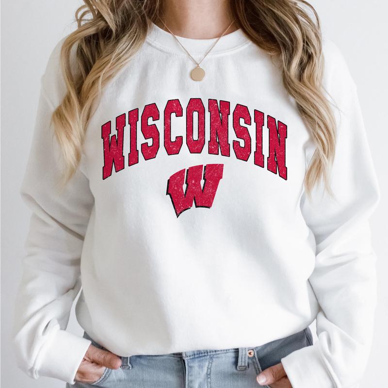 Wisconsin Badgers Vintage NCAA Sweatshirt, University Football Shirt, Gift for Men, Girls Crewneck, Cotton Pullover, Classic Sweaters Comfort